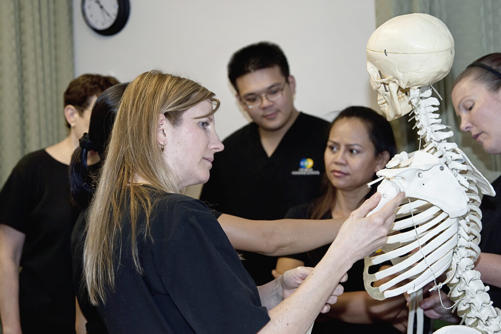 A woman examining a skeleton model.